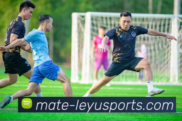 多媒体互动体验